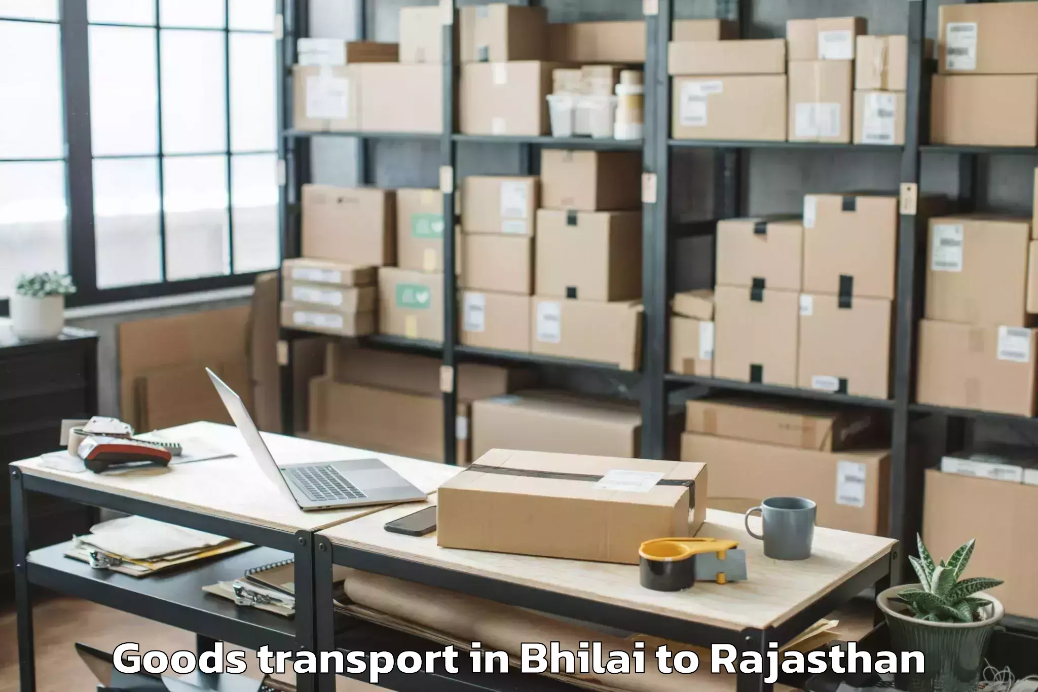 Easy Bhilai to Parvatsar Goods Transport Booking